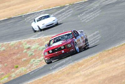 media/May-06-2023-Lucky Dog Racing (Sat) [[8f2256f436]]/Turn 2 10a/